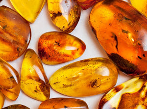 Cabochon (Ambar)