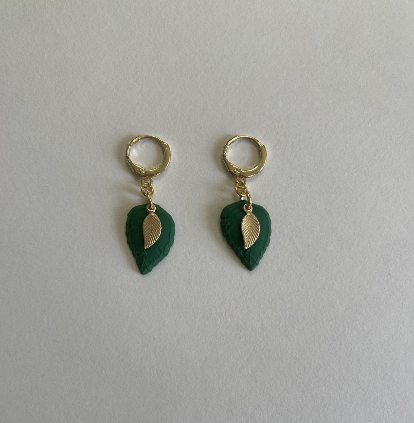 Mini-laurel
